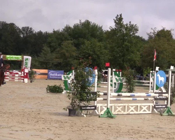 Reitturnier Münster-Albachten 2024