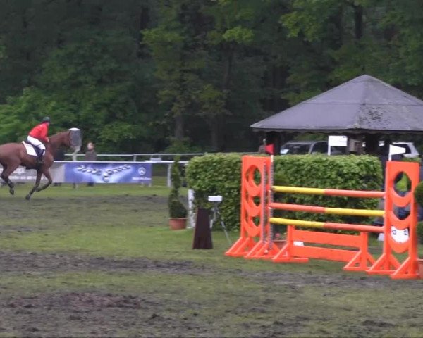 Stukenbrock 2013