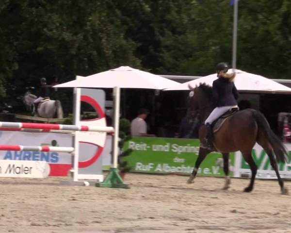 Reitturnier Münster-Albachten 2024