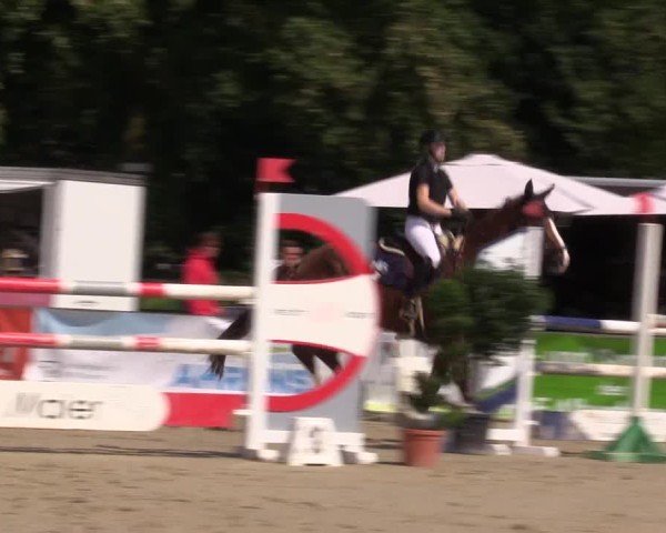 Reitturnier Münster-Albachten 2024