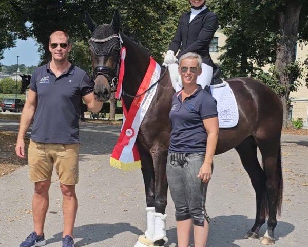 horse Wild Amour ANW (Austrian Warmblood, 2021, from San Amour I)