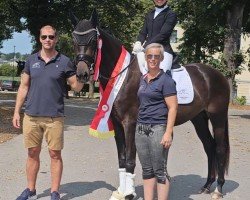 Pferd Wild Amour ANW (Österreichisches Warmblut, 2021, von San Amour I)
