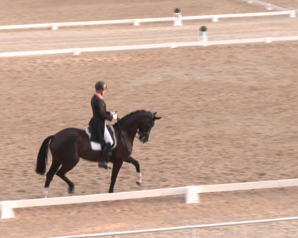 Reitturnier Stadl-Paura 2024