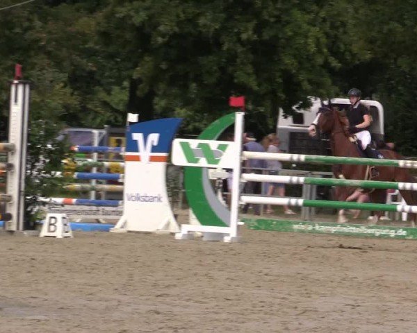Reitturnier Münster-Albachten 2024