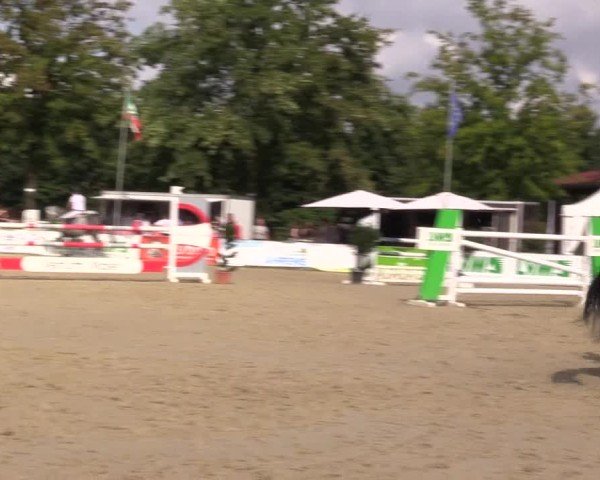 Reitturnier Münster-Albachten 2024