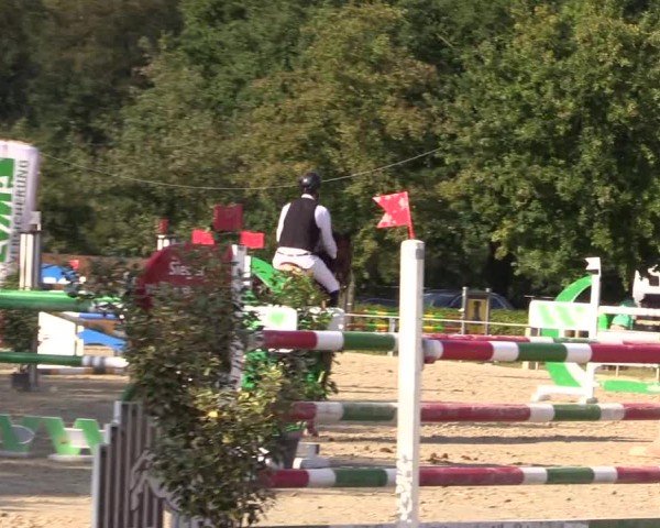 Reitturnier Münster-Albachten 2024