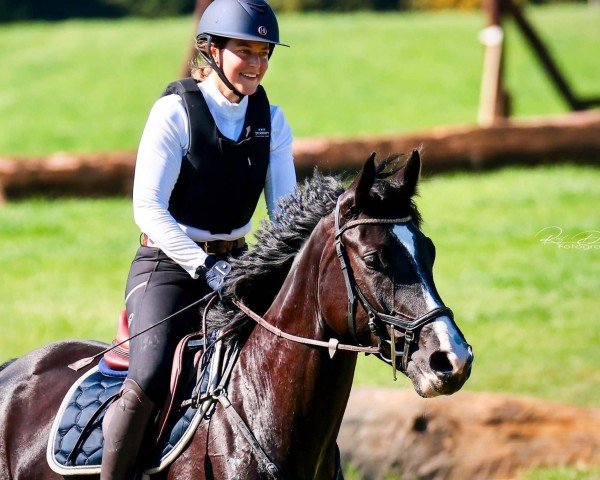 dressage horse Miss Cain (German Sport Horse, 2019, from DSP Marc Cain)