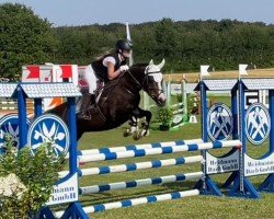 jumper Charlotte Charmante (German Riding Pony, 2013, from Night-Power)