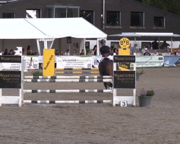 Reitturnier Datteln 2024