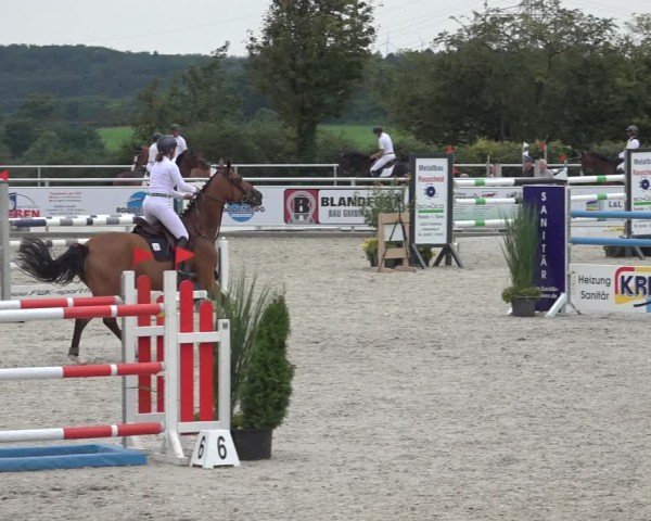 Reitturnier Stolberg-Büsbach 2024