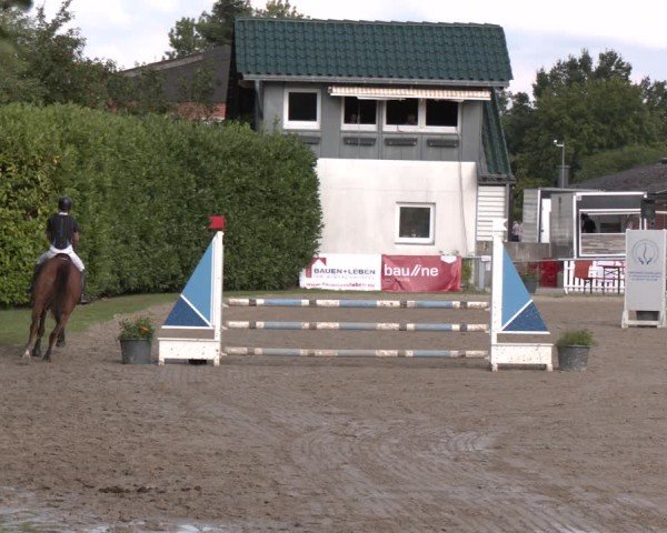 Reitturnier Datteln 2024