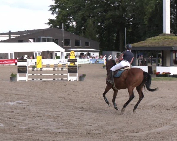 Reitturnier Datteln 2024