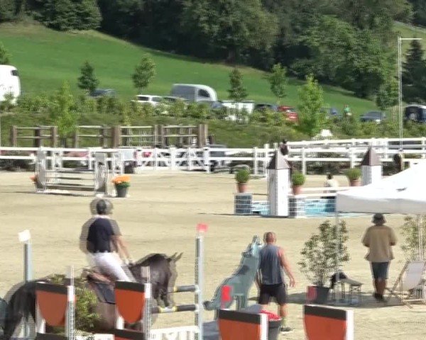 Reitturnier St. Margarethen 2024