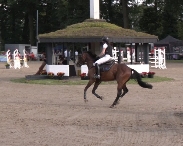 Reitturnier Datteln 2024