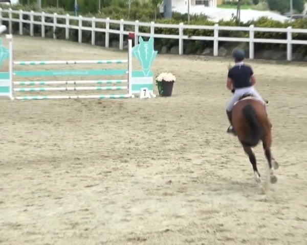 Reitturnier St. Margarethen 2024