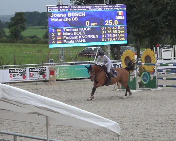 Reitturnier Stolberg-Büsbach 2024
