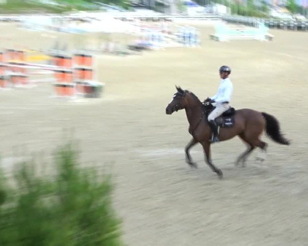 Reitturnier St. Margarethen 2024