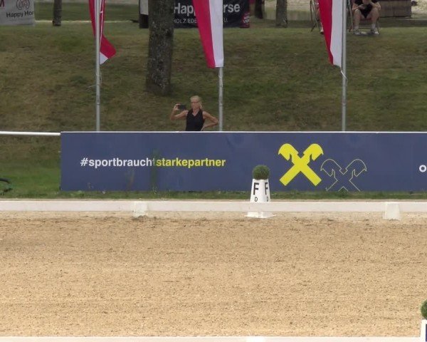 Reitturnier Stadl-Paura 2024