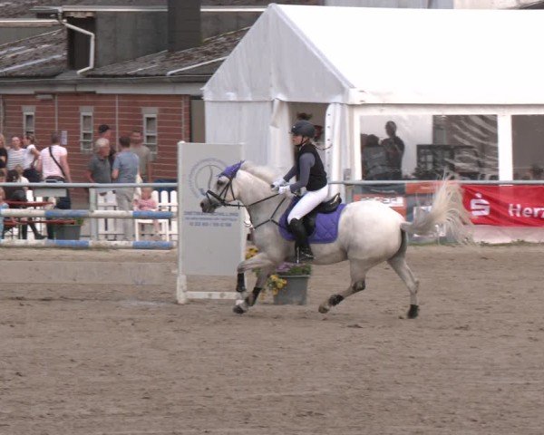 Reitturnier Datteln 2024