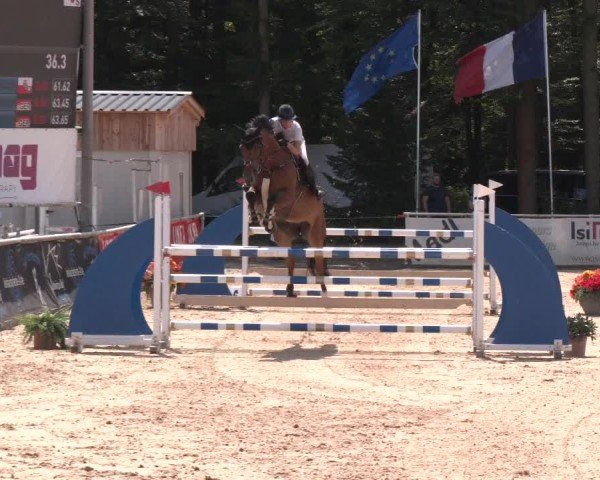 Reitturnier Ranshofen - Braunau am Inn 2024