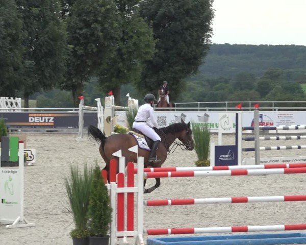 Reitturnier Stolberg-Büsbach 2024