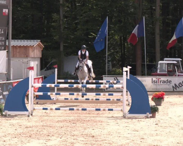 Reitturnier Ranshofen - Braunau am Inn 2024