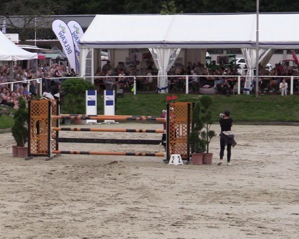 Reitturnier Bergisch Gladbach - Hebborner Hof 2024