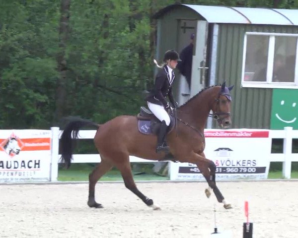 Isny-Rohrdorf 2013