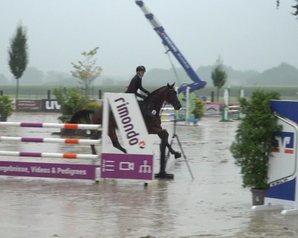 Reitturnier Dortmund-Asseln 2024