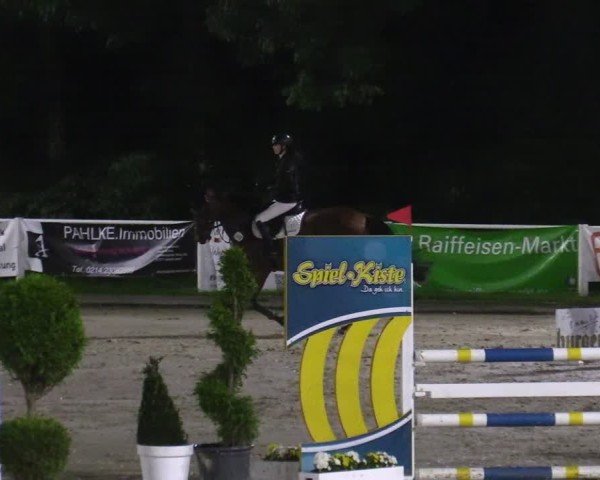 Reitturnier Bergisch Gladbach - Hebborner Hof 2024