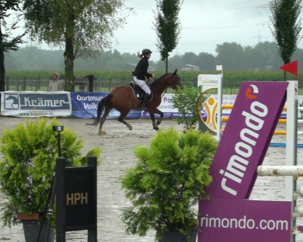 Reitturnier Dortmund-Asseln 2024