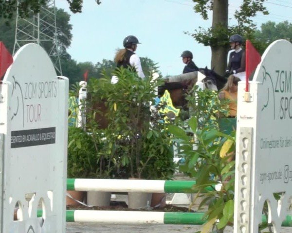 Reitturnier Dortmund-Asseln 2024