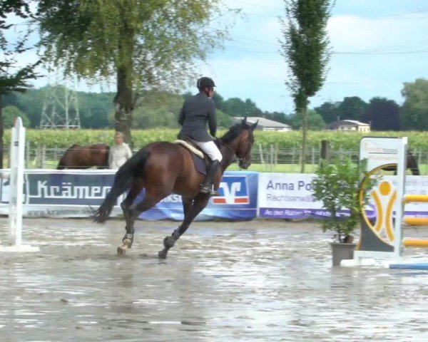 Reitturnier Dortmund-Asseln 2024