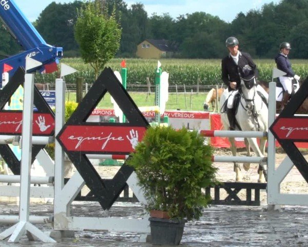 Reitturnier Dortmund-Asseln 2024