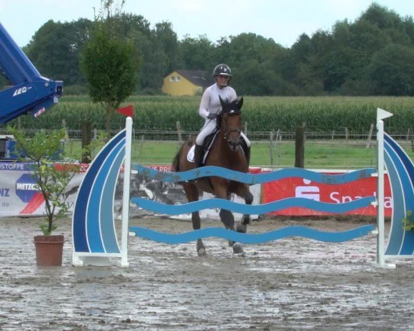 Reitturnier Dortmund-Asseln 2024