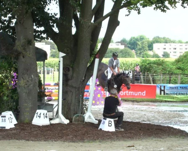 Reitturnier Dortmund-Asseln 2024