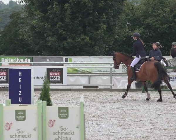 Reitturnier Stolberg-Büsbach 2024