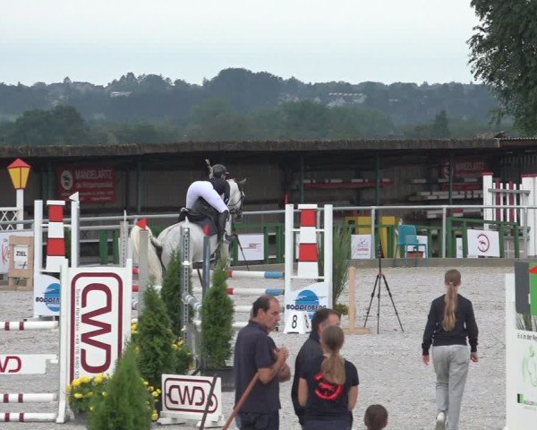 Reitturnier Stolberg-Büsbach 2024