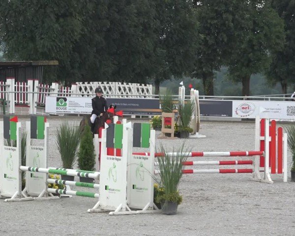 Reitturnier Stolberg-Büsbach 2024