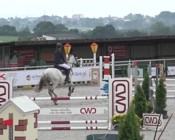 Reitturnier Stolberg-Büsbach 2024