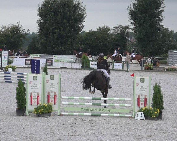 Reitturnier Stolberg-Büsbach 2024