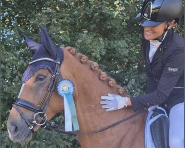 horse Erdbeer-Sahne VEC (Hanoverian, 2019, from Escamillo)