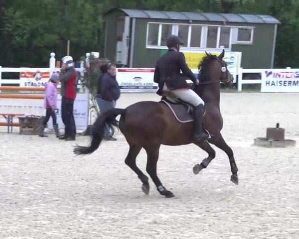Isny-Rohrdorf 2013