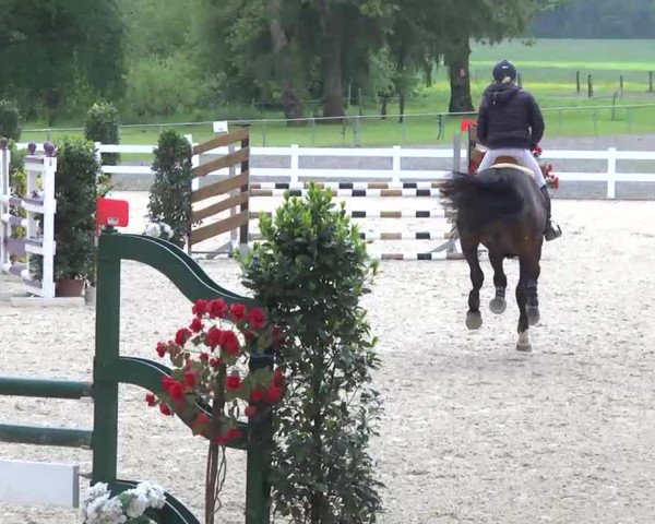 Isny-Rohrdorf 2013