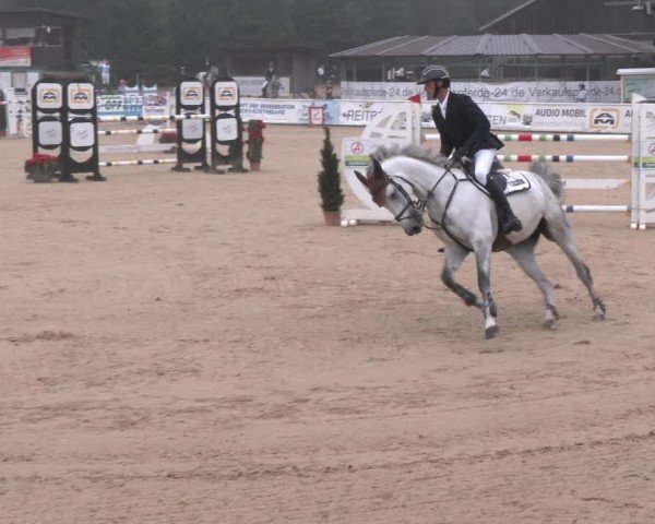 Reitturnier Ranshofen - Braunau am Inn 2024