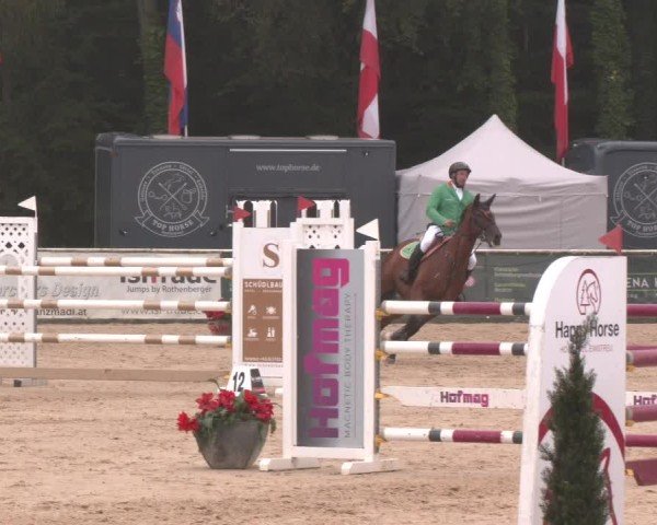 Reitturnier Ranshofen - Braunau am Inn 2024