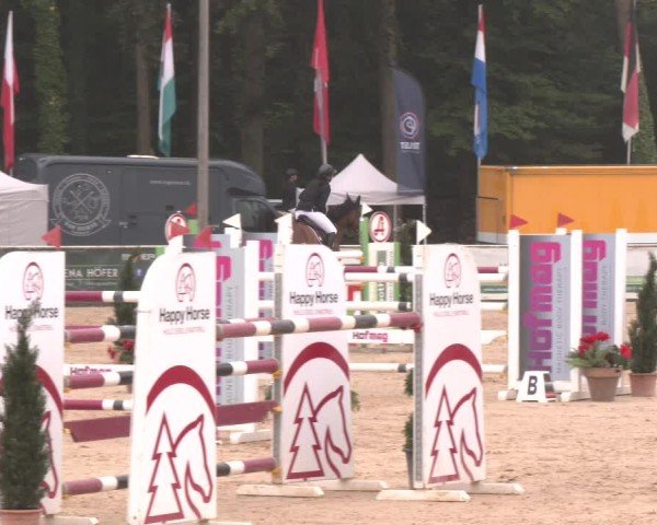 Reitturnier Ranshofen - Braunau am Inn 2024