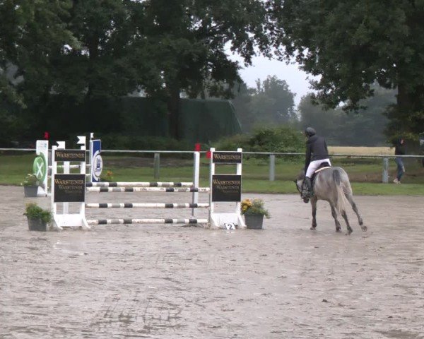 Reitturnier Datteln 2024