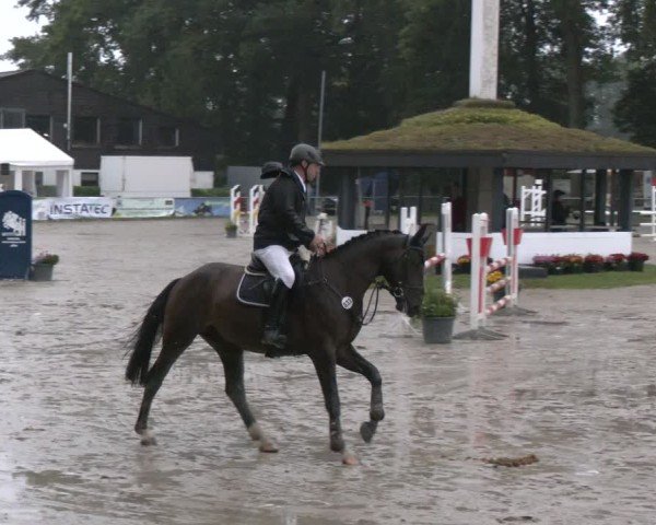 Reitturnier Datteln 2024