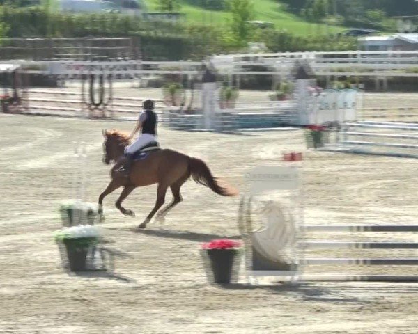 Reitturnier St. Margarethen 2024
